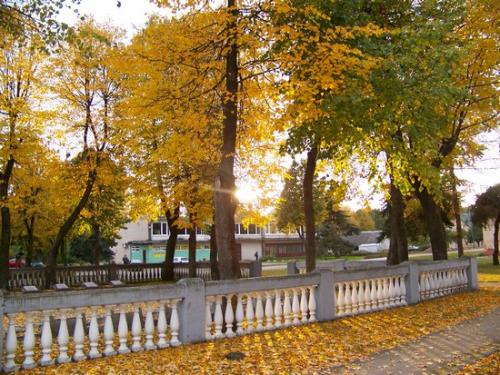Buntes Herbstlaub (100_0221.JPG) wird geladen. Eindrucksvolle Fotos aus Lettland erwarten Sie.